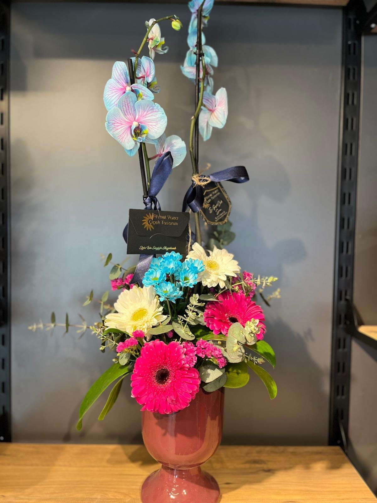 Özel saksıda grup mavi  orkide